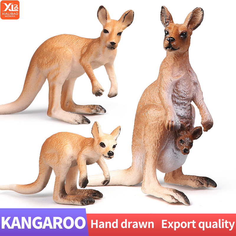 Kangaroo Kids Education - Nuovo set di canguri del mondo