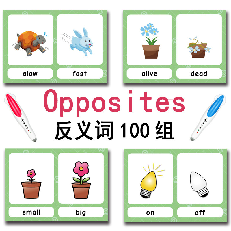 100 Gruppi di Carte Flash con  - Kids Educational Gadget recensione e prezzo