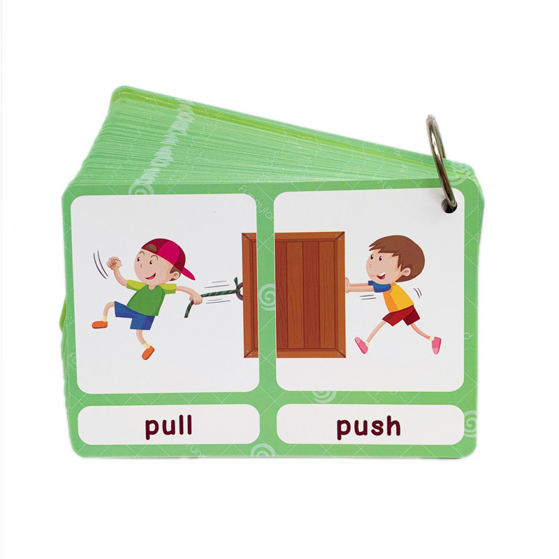 100 Gruppi di Carte Flash con  - Kids Educational Gadget recensione e prezzo
