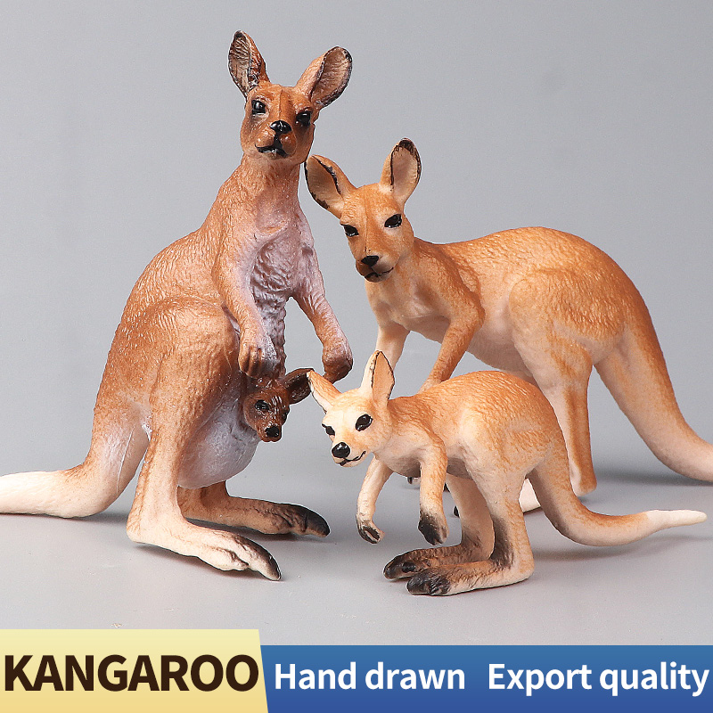 Nuovo set di canguri del mondo - Kangaroo Kids Education recensione e prezzo