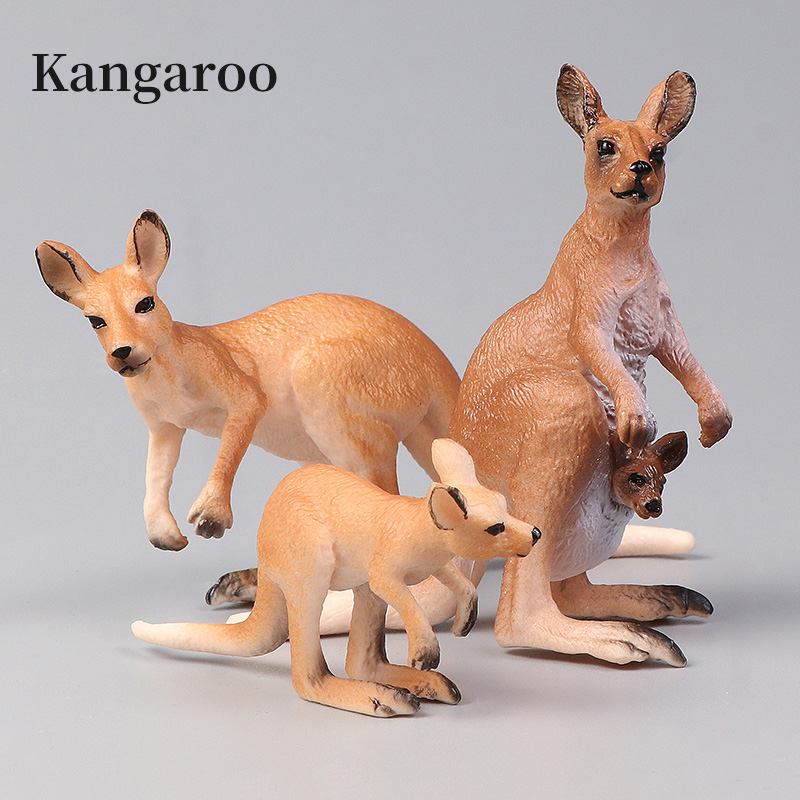 Nuovo set di canguri del mondo - Kangaroo Kids Education recensione e prezzo