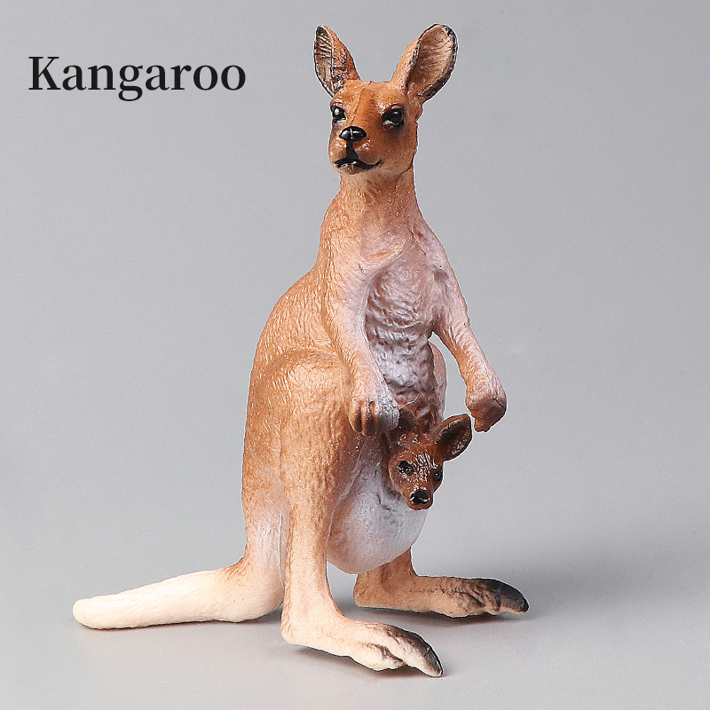 Nuovo set di canguri del mondo - Kangaroo Kids Education recensione e prezzo