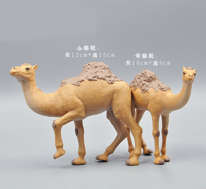 Simulazione animali modello gi - Kangaroo Kids Education recensione e prezzo